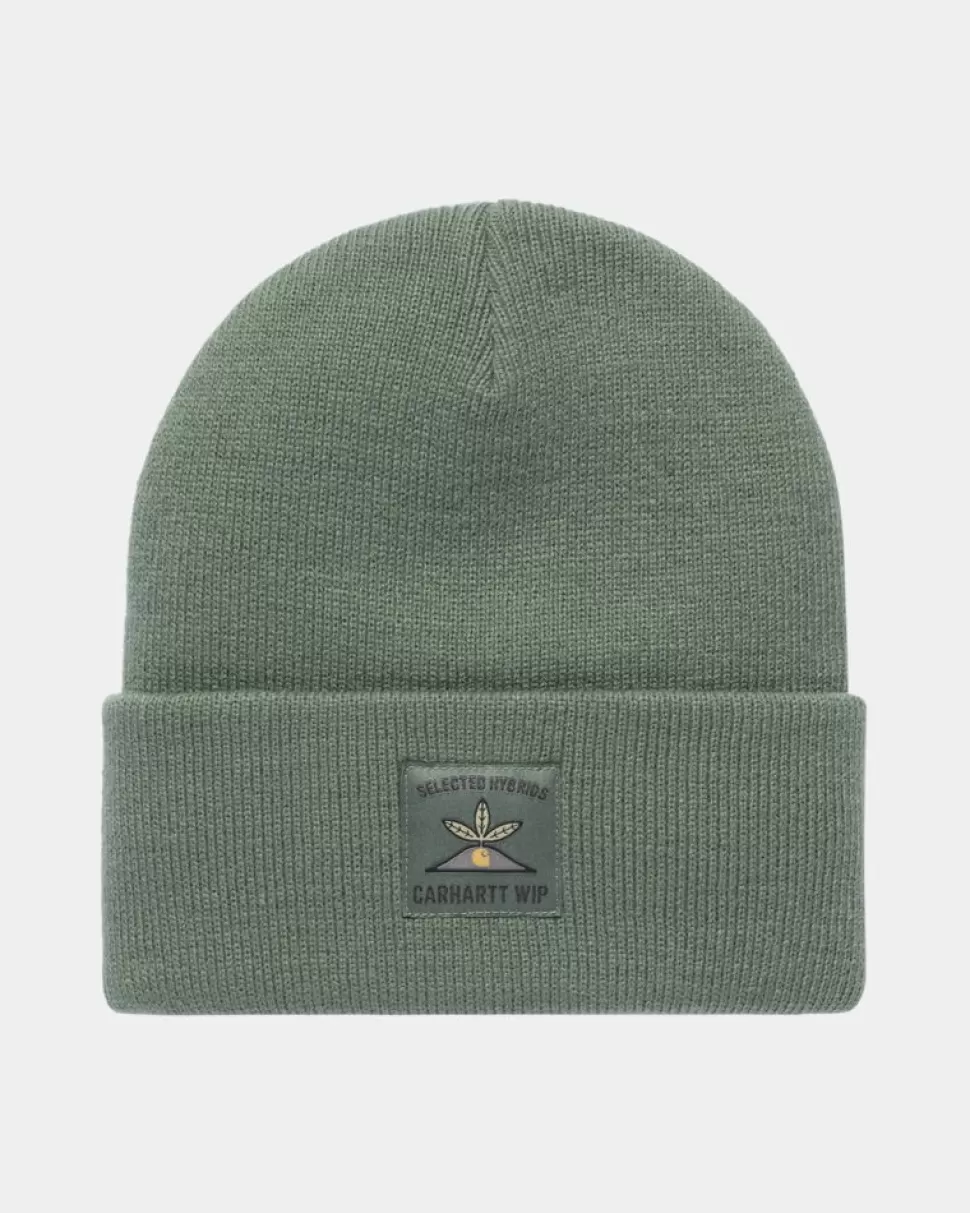 Carhartt WIP Field Beanie | Parkere Outlet