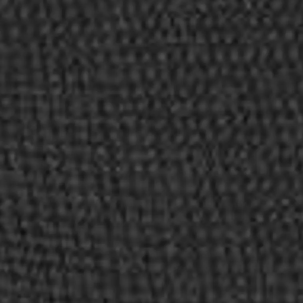 Carhartt WIP Kanvas Grafisk Strandtaske | Sort Isis Maria Middagstryk New