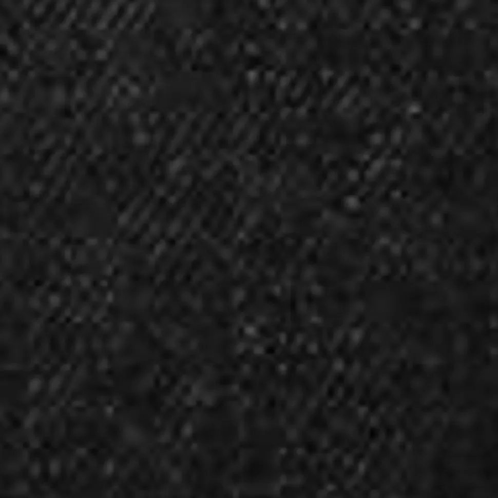 Carhartt WIP Og Chore Coat (Vinter) - Denim | Sort (En Vask) New
