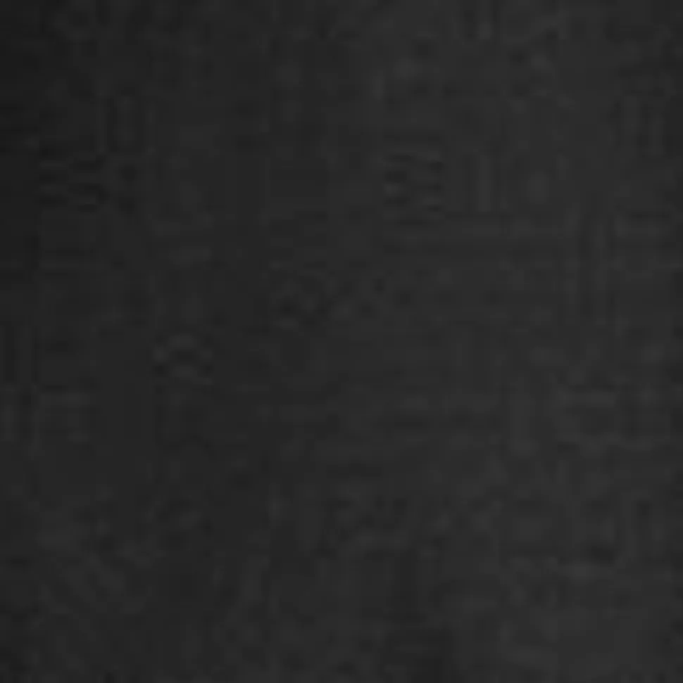 Carhartt WIP Sacai X And X Nylon Twill Frakke | Sort New