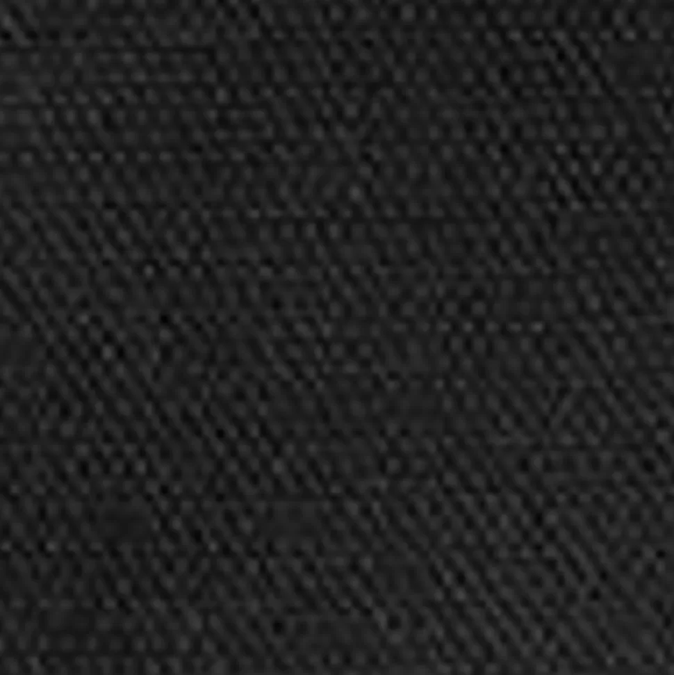 Carhartt WIP Sacai X Andeshorts Til Kvinder | Sort Clearance